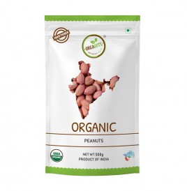 Orgabite Organic Peanuts   Pack  500 grams